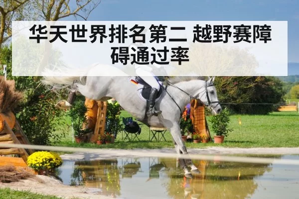 华天世界排名第二 越野赛障碍通过率