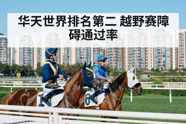 Chinese horse rider competition